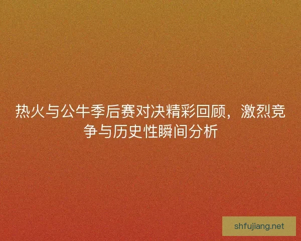 热火与公牛季后赛对决精彩回顾，激烈竞争与历史性瞬间分析