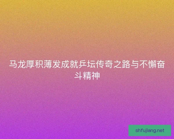 马龙厚积薄发成就乒坛传奇之路与不懈奋斗精神