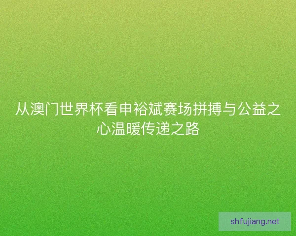 从澳门世界杯看申裕斌赛场拼搏与公益之心温暖传递之路