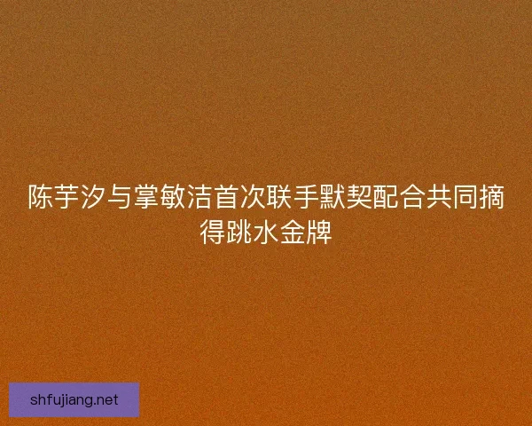 陈芋汐与掌敏洁首次联手默契配合共同摘得跳水金牌