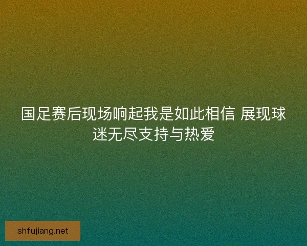 国足赛后现场响起我是如此相信 展现球迷无尽支持与热爱